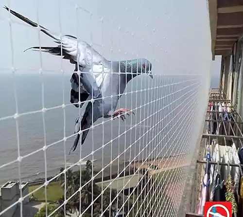 Balcony Safety Nets