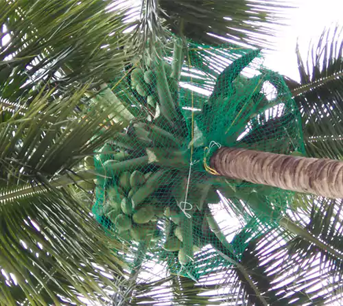 Balcony Safety Nets