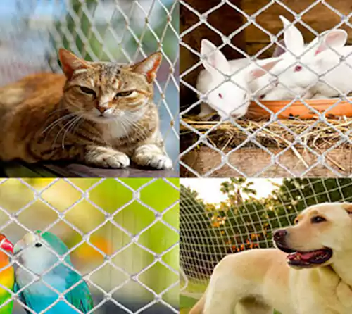 Pets Safety Nets